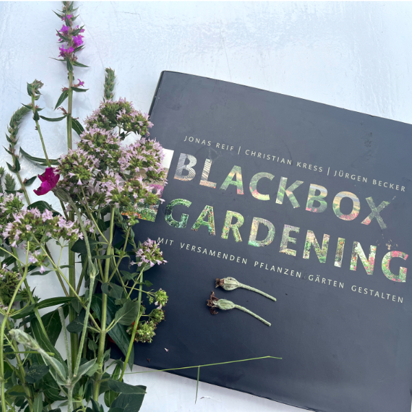 Mehr über den Artikel erfahren Blackbox Gardening – ein Experiment mit vielen Blüten(er)folgen